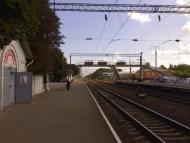 Шевченкове з panoramio.com