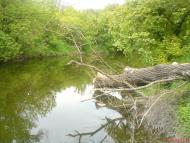 Артема з panoramio.com