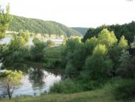 Рогізна з panoramio.com