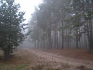 Нова Буда з panoramio.com