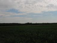 Семирічка з panoramio.com