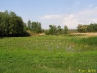 Миколаївка з panoramio.com