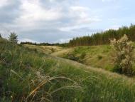 Біленьке з panoramio.com