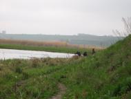 Куна з panoramio.com