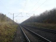 Рідкодуби з panoramio.com