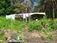 Приліпка з panoramio.com