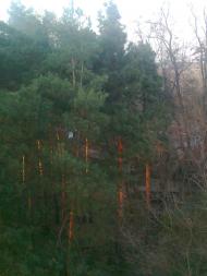 Змійове з panoramio.com