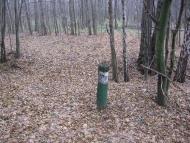 Язвинка з panoramio.com