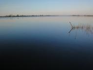 Петровського з panoramio.com