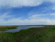 Меліоративне з panoramio.com - Мелиоративное