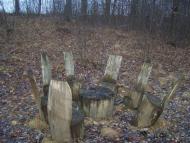 Словечне з panoramio.com