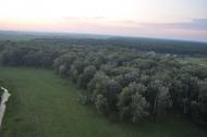 Підлісся з panoramio.com