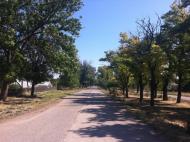 Дрофине з panoramio.com