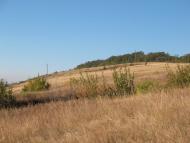 Хворостянівка з panoramio.com