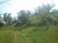 Хмельницьке з panoramio.com