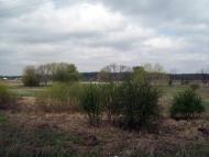 Тарасенки з panoramio.com - Тарасенки