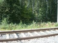 Городнявка з panoramio.com