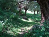 Мала Побіянка з panoramio.com