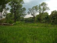 Приліпка з panoramio.com