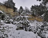 Глухівець з panoramio.com