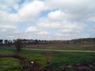 Вишняки з panoramio.com