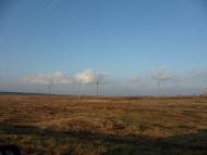 Вербки з panoramio.com