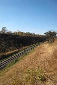 Білоріченський з panoramio.com