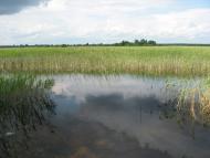 Мелені з panoramio.com