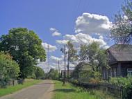 Вільхова з panoramio.com