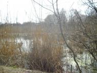 Ковильне з panoramio.com