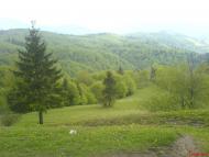 Стригальня з panoramio.com - Стригальняя