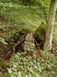 Жорнава - Останні фото