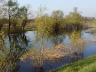 Новий Стародуб з panoramio.com