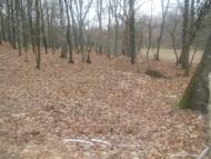 Нараївка з panoramio.com