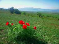 Лазарівка з panoramio.com