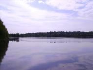 Ставище з panoramio.com - Ставище