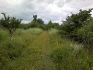 Губичі з panoramio.com