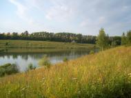 Гоптівка з panoramio.com