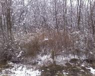 Нове з panoramio.com