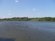 Чернявка з panoramio.com