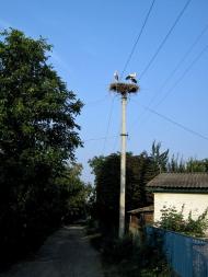 Іваньки з panoramio.com