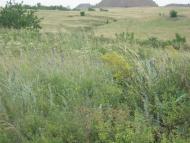 Врубівський з panoramio.com