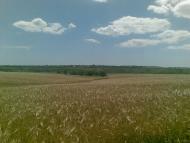 Любопіль з panoramio.com