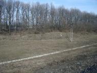 Гришки - Останні фото