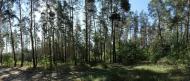 Знаменівка з panoramio.com - Znamenivka