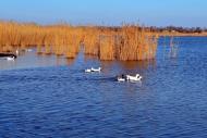 Дарівка з panoramio.com