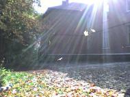 Липівка з panoramio.com