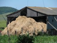 Грядки з panoramio.com