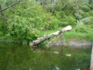 Артема з panoramio.com