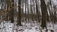 Ворочово з panoramio.com - Ворочево